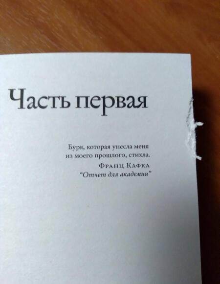 Фотография книги "Фаулер: Мы совершенно не в себе"