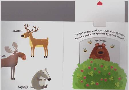 Фотография книги "Федиенко: Кто живёт в лесу"