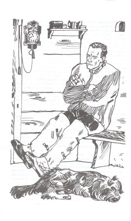 Фотография книги "Федор Александрович: О чем плачут лошади. Рассказы. Художник Н. Курбанова"