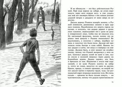 Фотография книги "Федор Боровский: Рыжий"