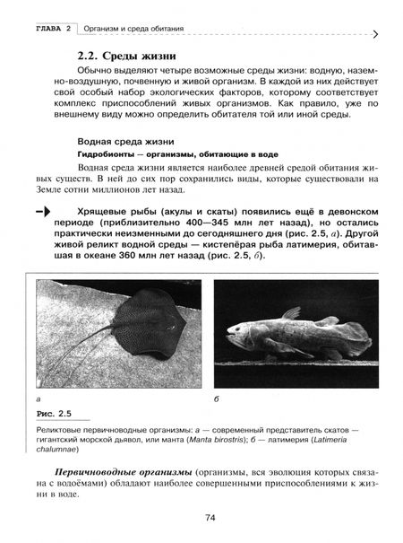Фотография книги "Федорос, Нечаева: Экология. Базовый уровень. Практикум. Учебное пособие для СПО"
