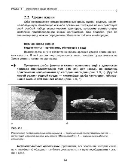 Фотография книги "Федорос, Нечаева: Экология. Базовый уровень. Практикум. Учебное пособие для СПО"