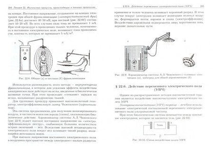 Фотография книги "Федорова, Степанова: Краткий курс медицинской и биологической физики с элементами реабилитологии. Лекции и семинары"