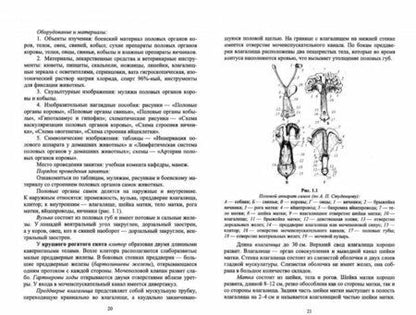 Фотография книги "Федотов, Авдеенко, Лощинин: Ветеринарное акушерство с неонатологией и биотехника репродукции животных. Практикум. Учебное пособ."