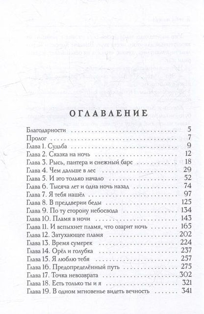 Фотография книги "Фей: Я тебя нашел"