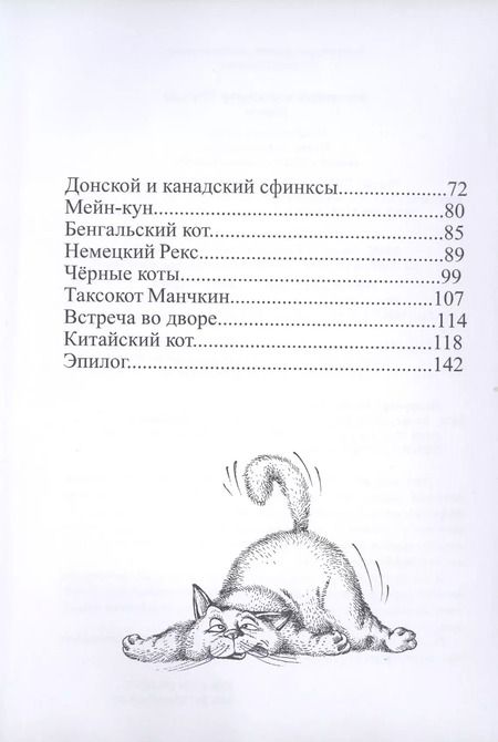 Фотография книги "Феликс Маляренко: Летающий кошкозавр Митька"