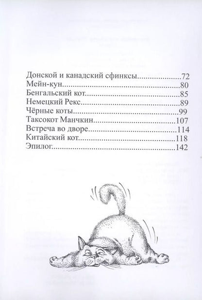 Фотография книги "Феликс Маляренко: Летающий кошкозавр Митька"