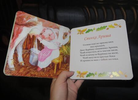 Фотография книги "Феликс Маляренко: Вот такие свинки"