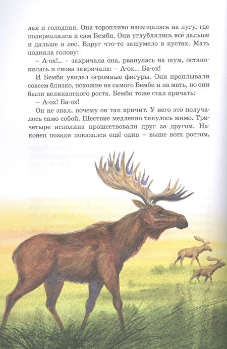 Фотография книги "Феликс Зальтен: Бемби"