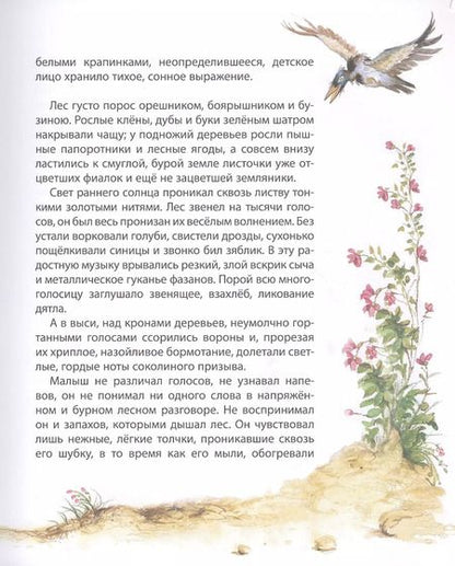 Фотография книги "Феликс Зальтен: Бемби"