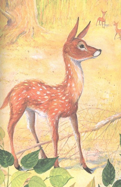 Фотография книги "Феликс Зальтен: Бемби"