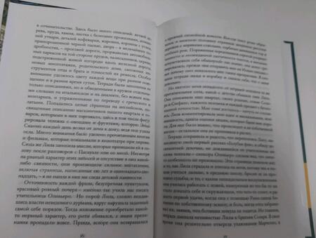 Фотография книги "Ферранте: История нового имени"