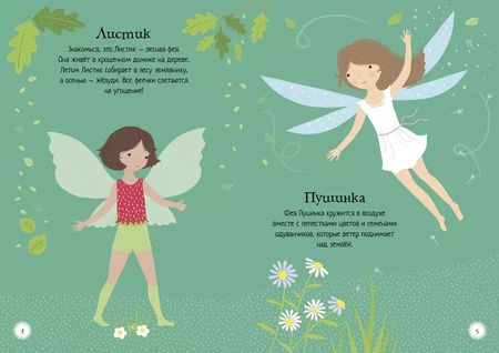 Фотография книги "Фея"