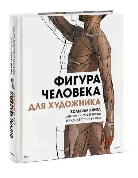 Фотография книги "Фигура человека для художника. Большая книга анатомии, референсов и художественных поз"