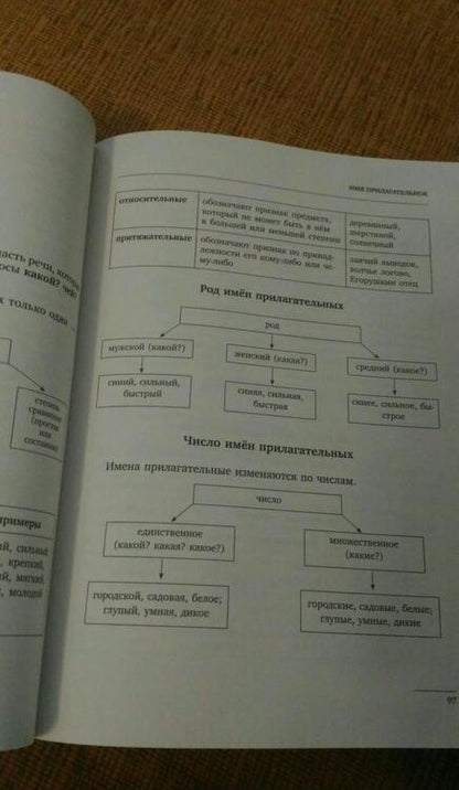 Фотография книги "Филипп Алексеев: Все правила русского языка с упражнениями"