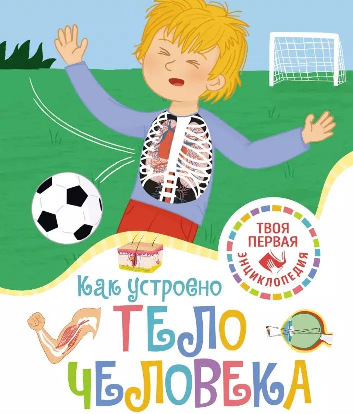 Обложка книги "Филипп Симон: Как устроено тело человека"