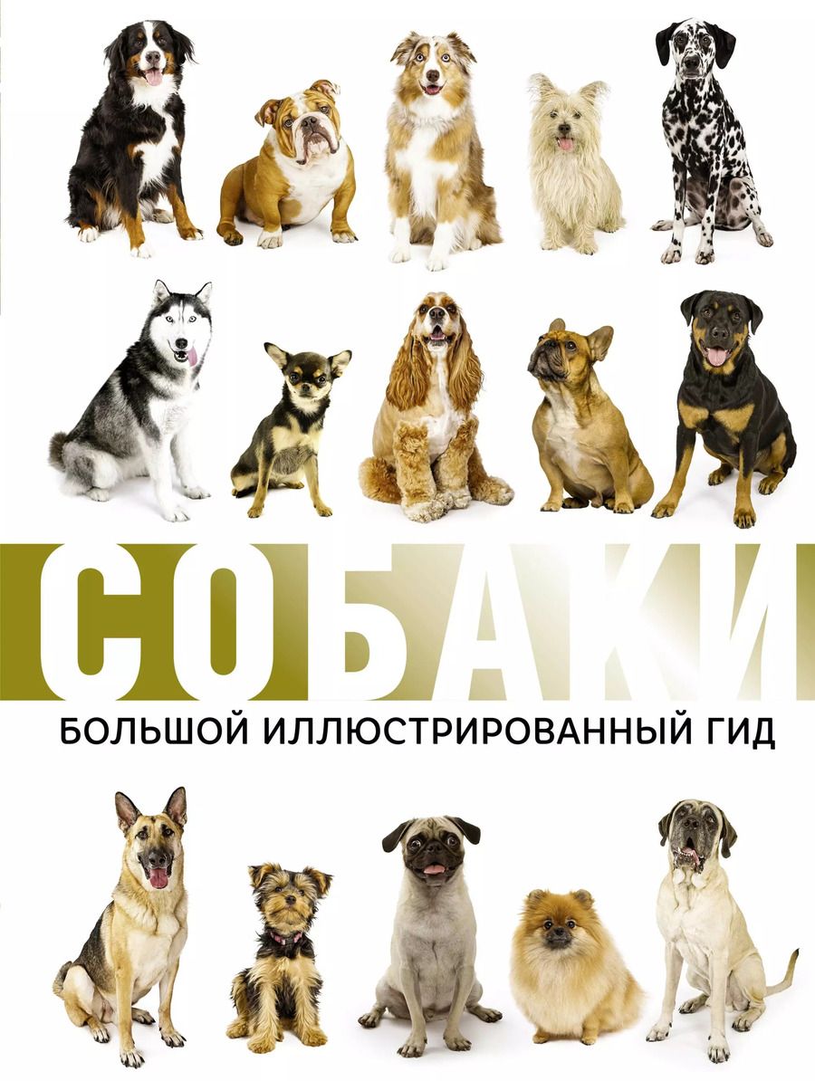 Обложка книги "Филиппова, Барановская, Вайткене: Собаки. Большой иллюстрированный гид"