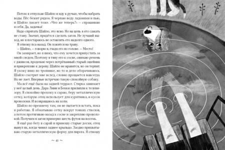 Фотография книги "Филлис Нейлор: Шайло"