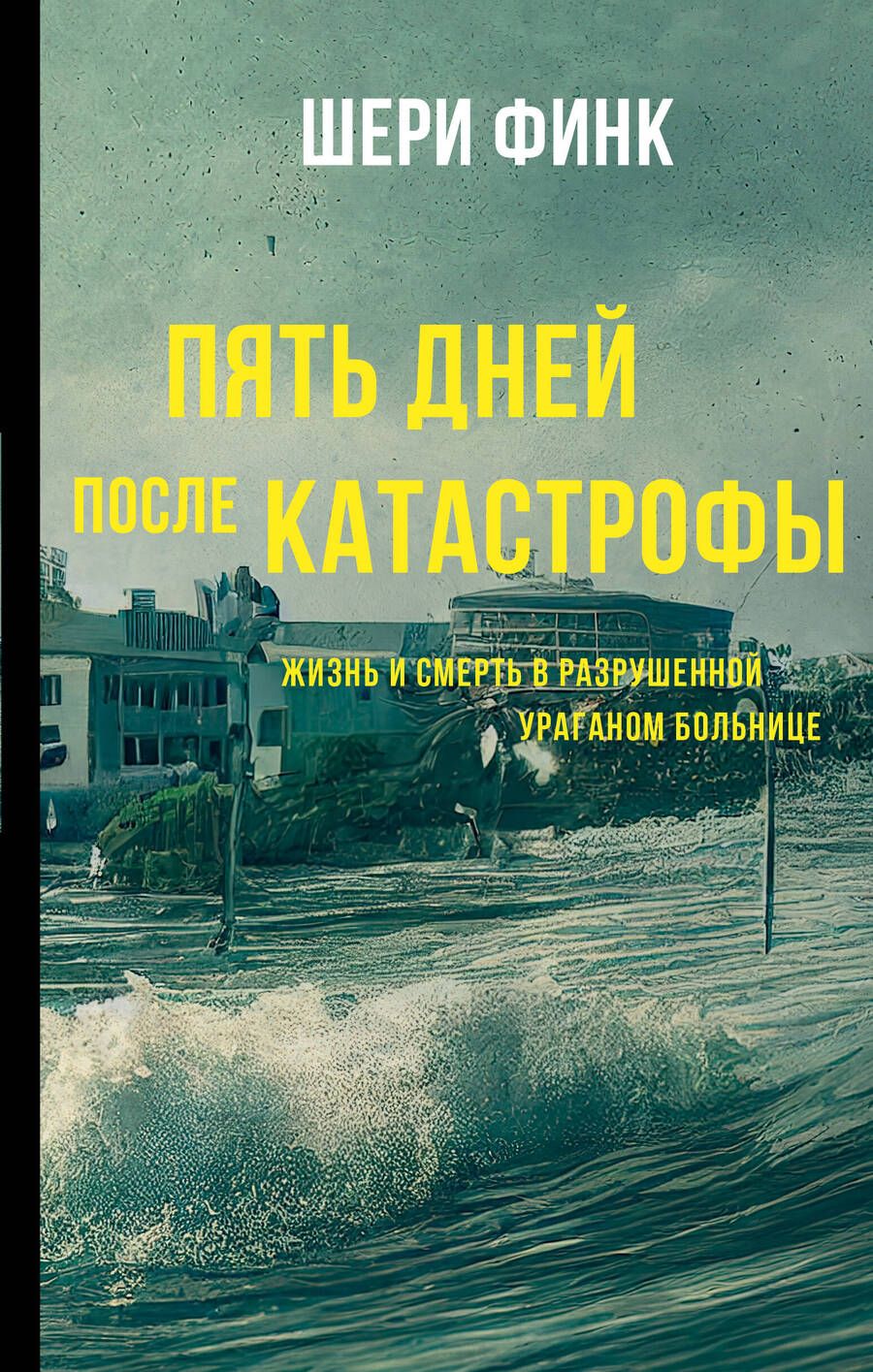 Обложка книги "Финк: Пять дней после катастрофы"