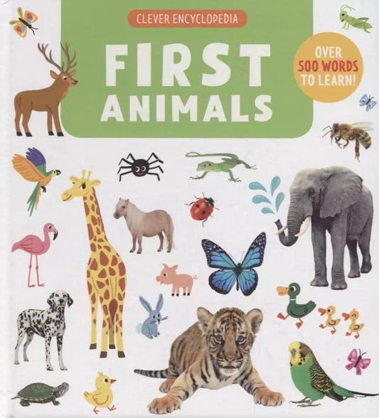 Обложка книги "First Animals. Clever Encyclopedia. Over 500 Words To Learn"