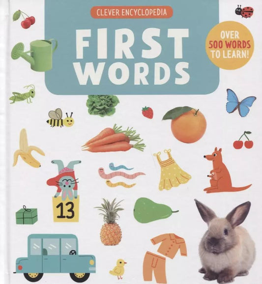 Обложка книги "First Words. Clever Encyclopedia"