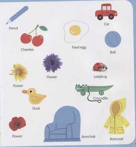 Фотография книги "First Words. Clever Encyclopedia"