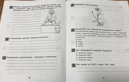 Фотография книги "Фируза Хуснутдинова: ВПР. Окружающий мир. Мир вокруг нас. Курс начальной школы. ФГОС"