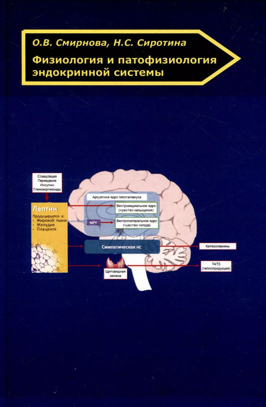 Обложка книги "Физиология и патофизиология эндокринной системы"