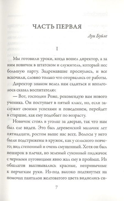 Фотография книги "Флобер: Госпожа Бовари"