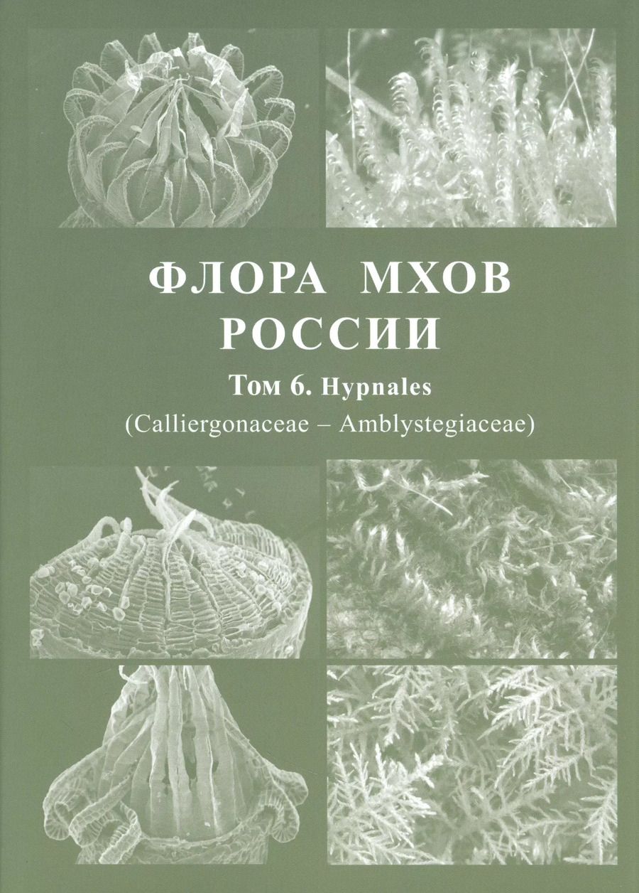 Обложка книги "Флора мхов России. Том 6"