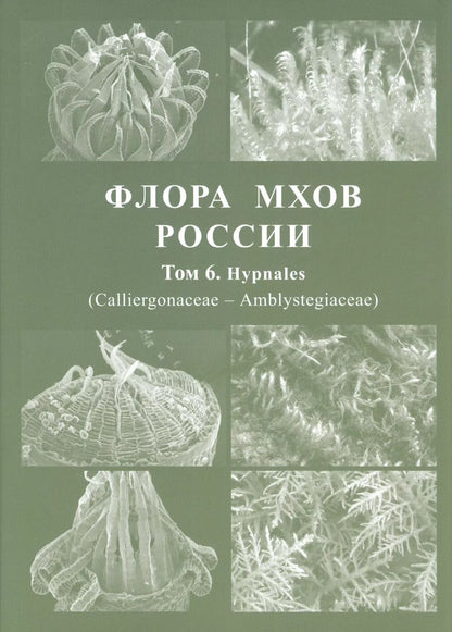 Обложка книги "Флора мхов России. Том 6"