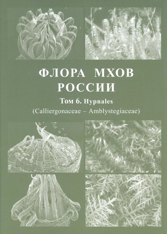 Обложка книги "Флора мхов России. Том 6"