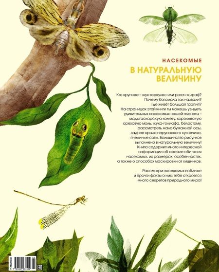 Фотография книги "Фогато: Насекомые в натуральную величину"