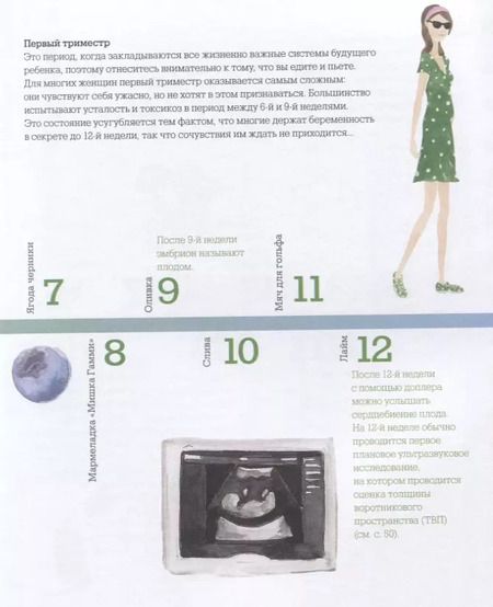 Фотография книги "Фогль, Хант: Я буду мамой. Гид по беременности, родам и первым месяцам жизни малыша"