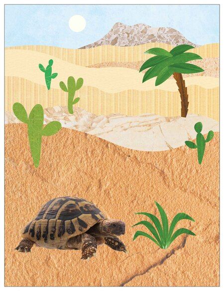 Фотография книги "Фотонаклейки. В Африке"