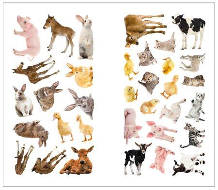 Фотография книги "Фотонаклейки. В деревне"