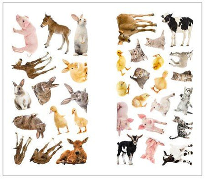 Фотография книги "Фотонаклейки. В деревне"