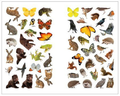 Фотография книги "Фотонаклейки. В лесу"