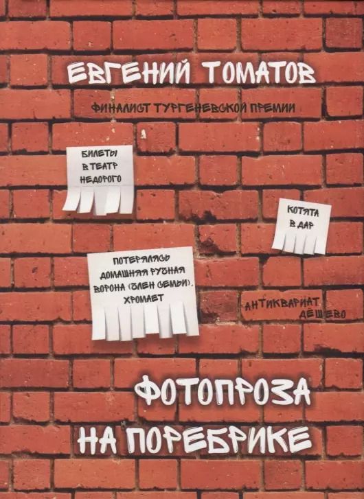 Обложка книги "Фотопроза на поребрике"