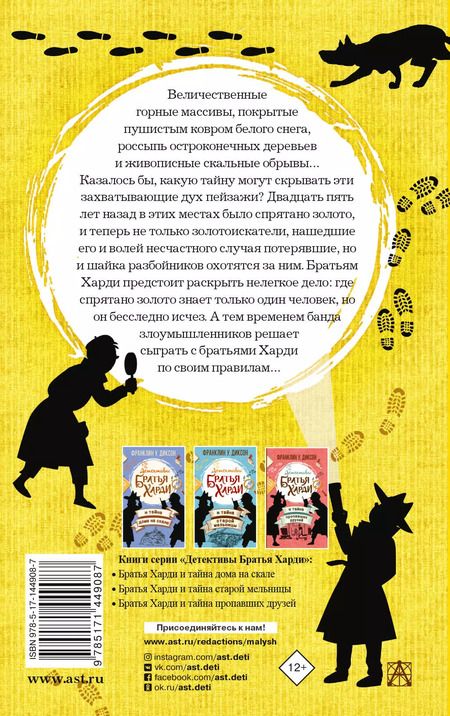 Фотография книги "Франклин У.: Братья Харди и охота за спрятанным золотом"