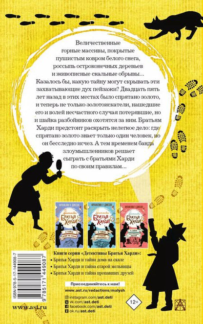 Фотография книги "Франклин У.: Братья Харди и охота за спрятанным золотом"