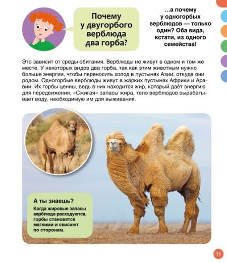 Фотография книги "Франко: Почему? Вопросы и ответы обо всем на свете"