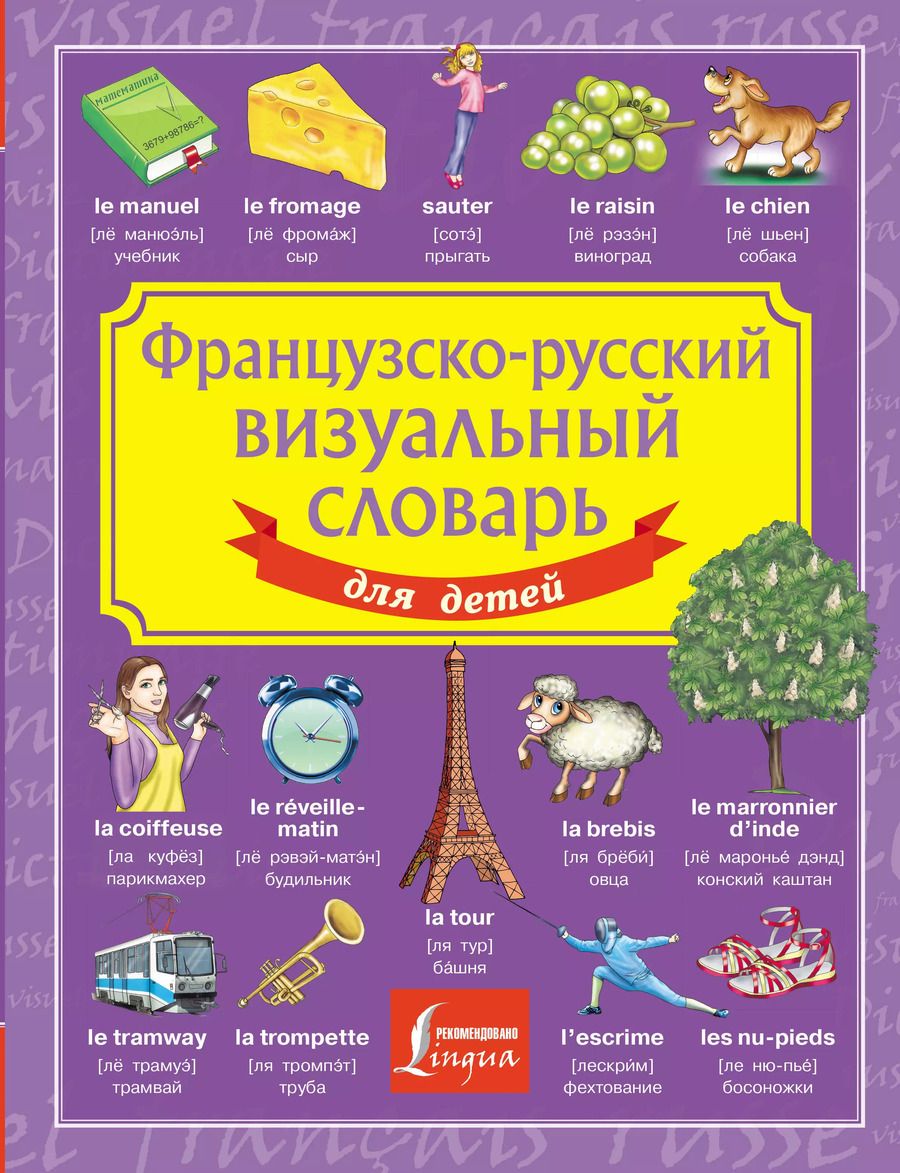 Обложка книги "Французско-русский визуальный словарь для детей"