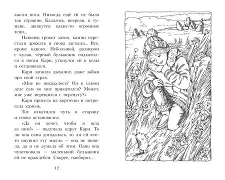 Фотография книги "Фрейя Венде: Кари и Долина троллей"