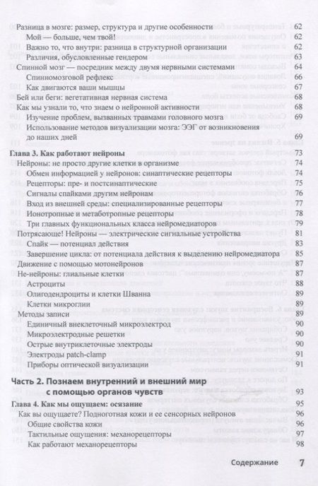 Фотография книги "Фрэнк Амтор: Нейронауки для чайников"