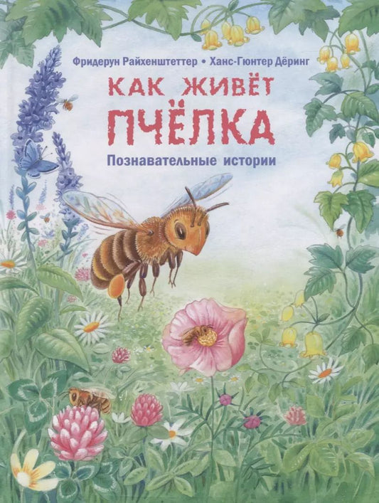 Обложка книги "Фридерун Райхенштеттер: Как живёт пчёлка. Познавательные истории"