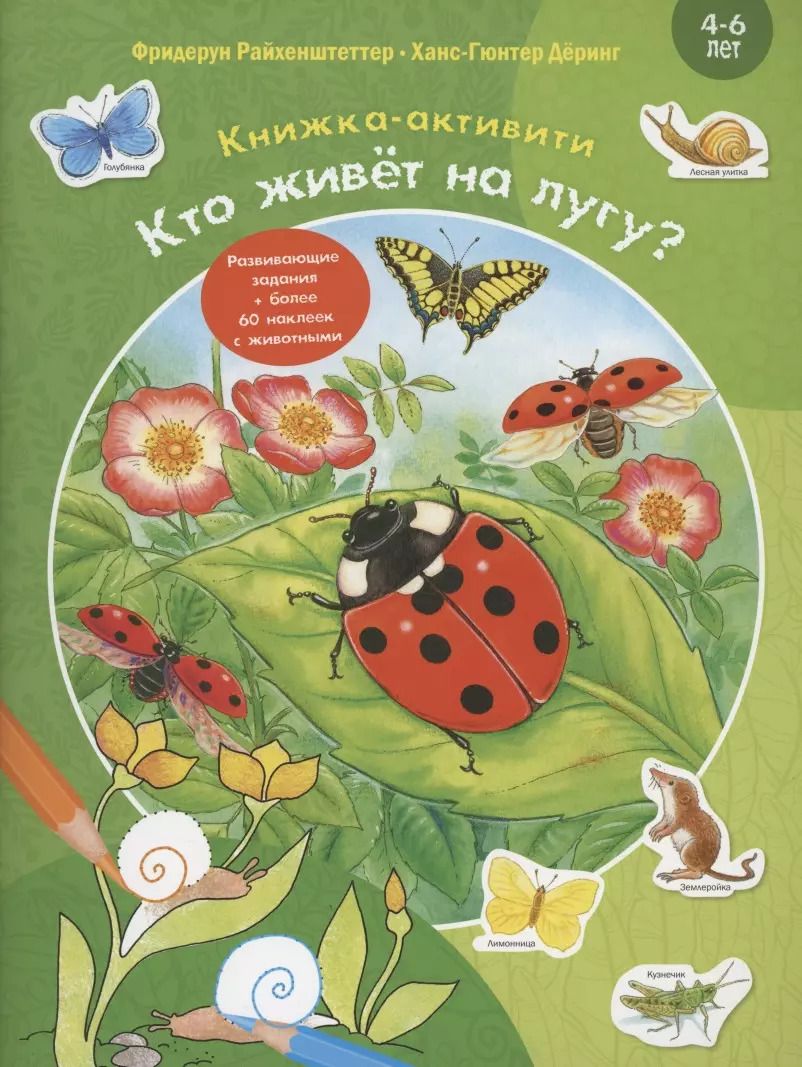 Обложка книги "Фридерун Райхенштеттер: Кто живёт на лугу? Книжка-активити"