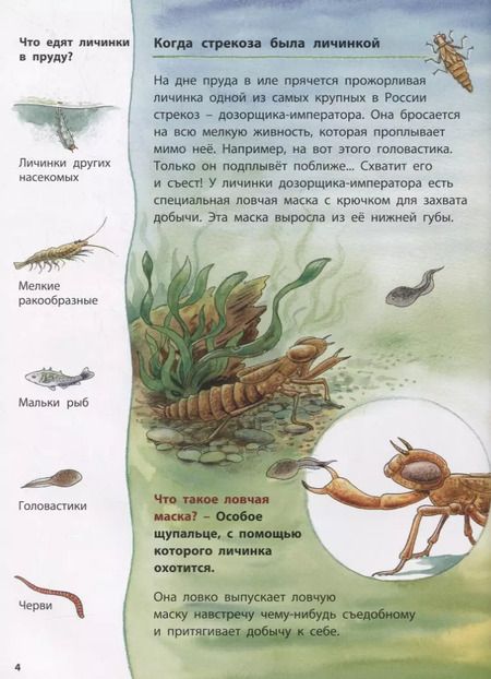 Фотография книги "Фридерун Райхенштеттер: Лягушонок и его соседи. Познавательные истории"