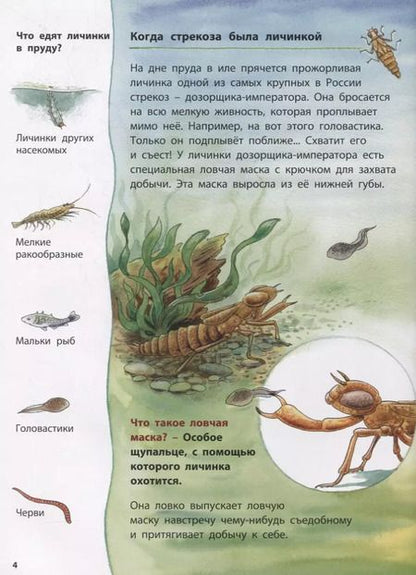 Фотография книги "Фридерун Райхенштеттер: Лягушонок и его соседи. Познавательные истории"