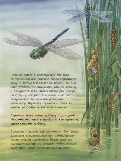 Фотография книги "Фридерун Райхенштеттер: Лягушонок и его соседи. Познавательные истории"
